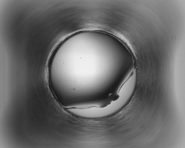 X0000093161472200710171200