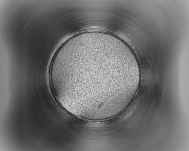 X0000093161474200710171200