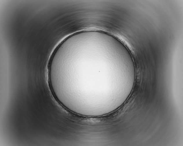 X0000093161476200710171200