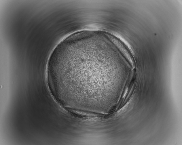 X0000093161477200710171200