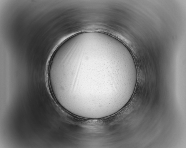 X0000093161478200710171200