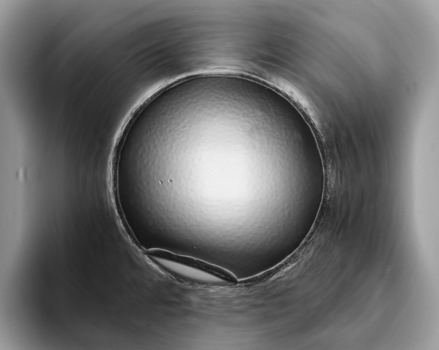 X0000093161480200710171200