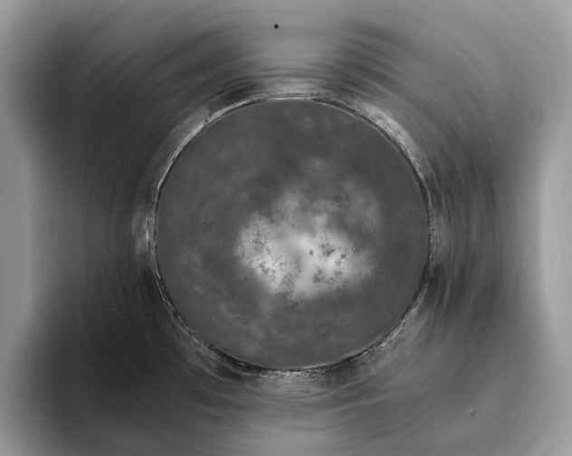 X0000093161481200710171200
