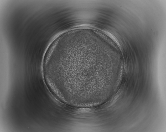 X0000093161482200710171200