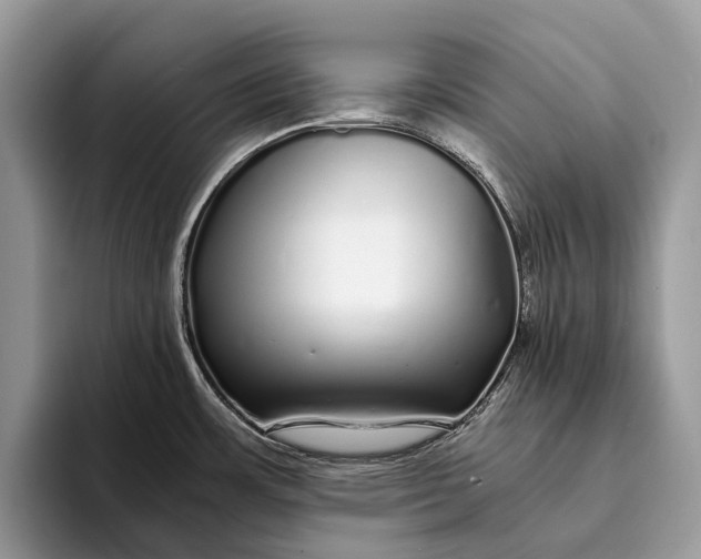 X0000093161483200710171200