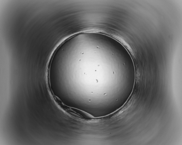 X0000093161484200710171200