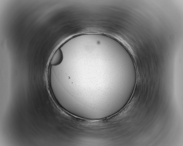 X0000093161486200710171200