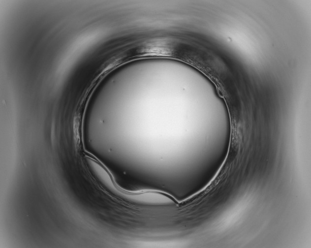 X0000093161487200710171200