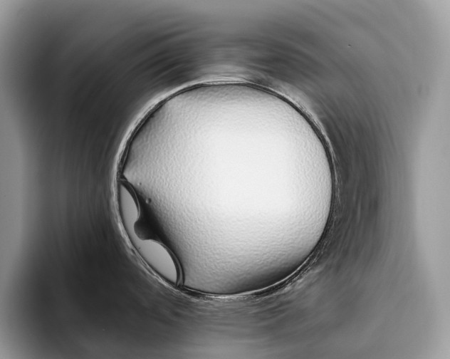 X0000093161488200710171200