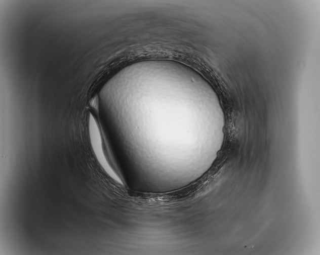 X0000093161490200710171200