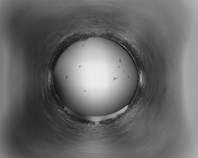 X0000093161492200710171200