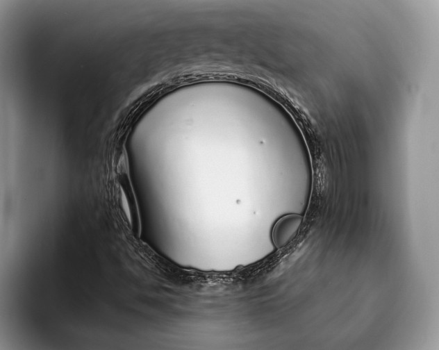 X0000093161494200710171200
