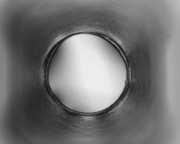 X0000093161501200710171200