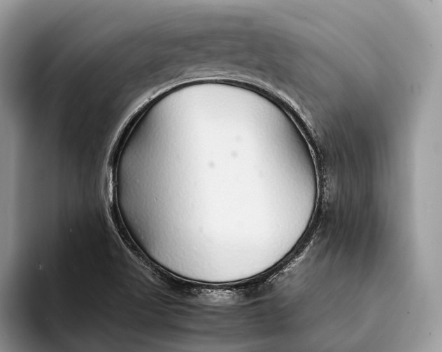 X0000093161509200710171200