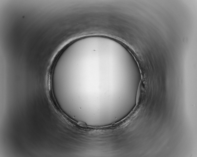 X0000093161510200710171200