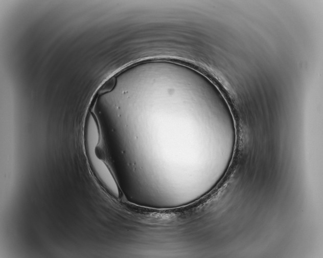 X0000093161513200710171200