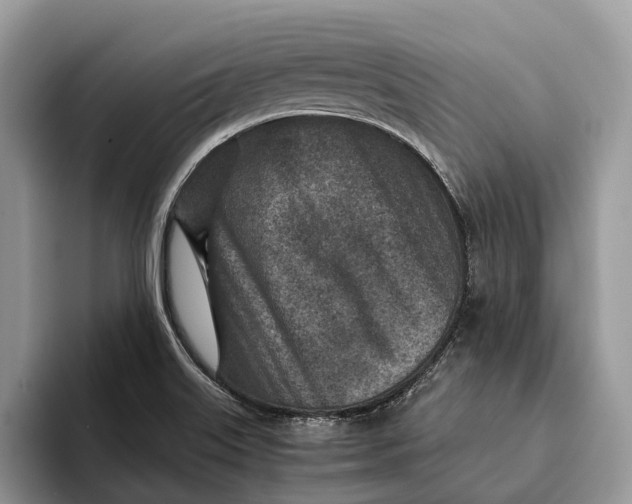 X0000093161515200710171200