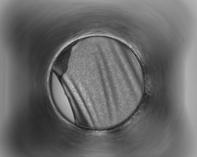 X0000093161519200710171200