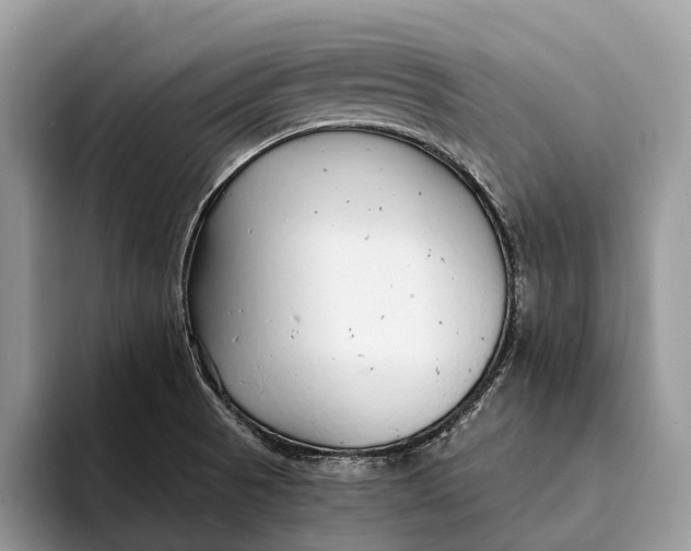 X0000093161521200710171200