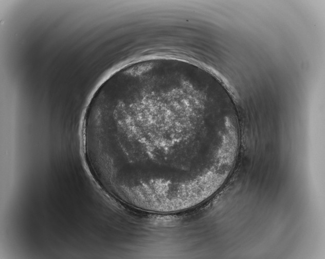 X0000093161522200710171200