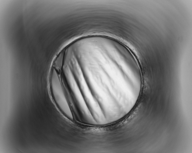 X0000093161525200710171200