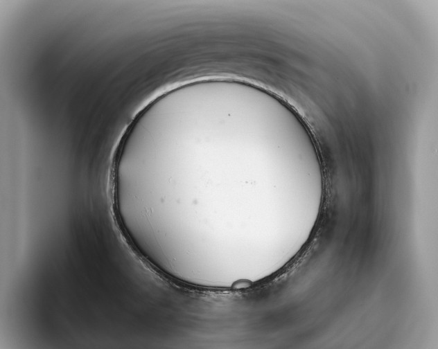 X0000093161526200710171200