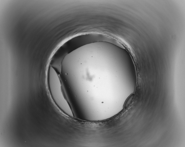 X0000093161528200710171200