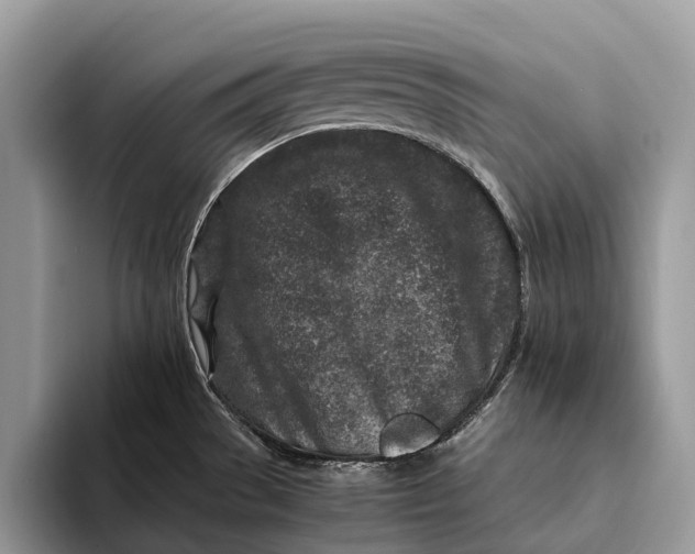 X0000093161529200710171200