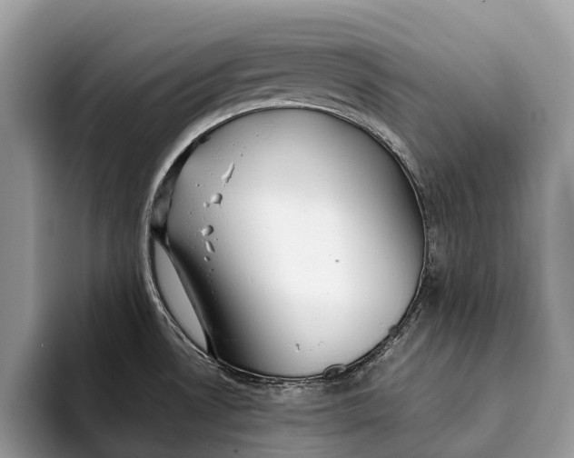 X0000093161530200710171200