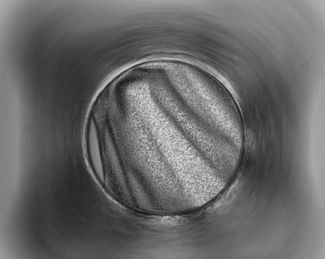 X0000093161533200710171200