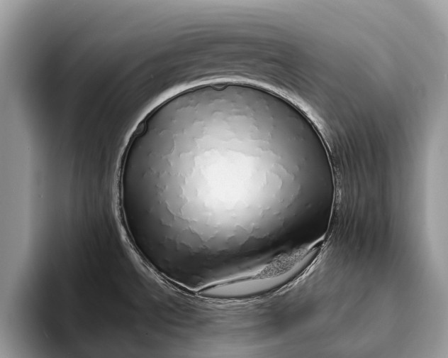 X0000093161534200710171200