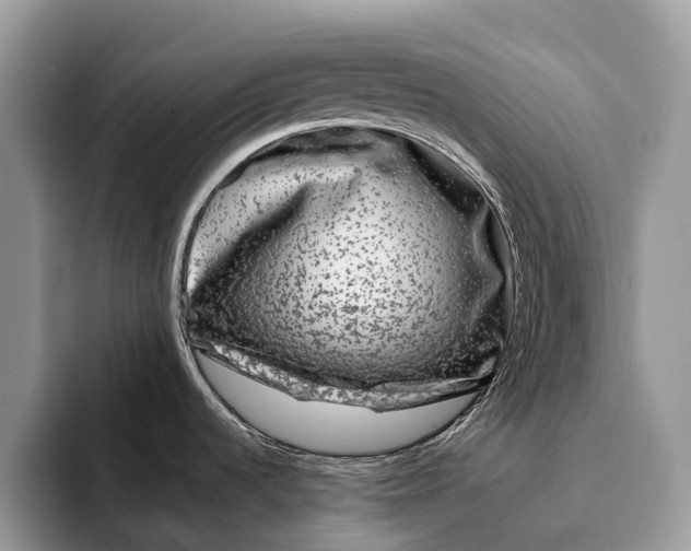 X0000093161536200710171200