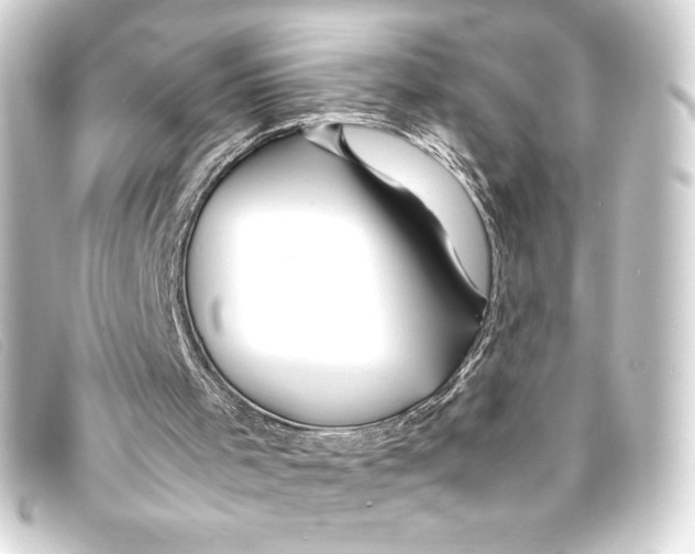 X0000093160001200710241029