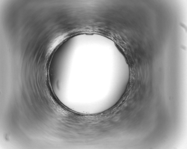 X0000093160005200710241029