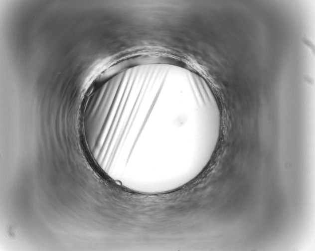 X0000093160007200710241029