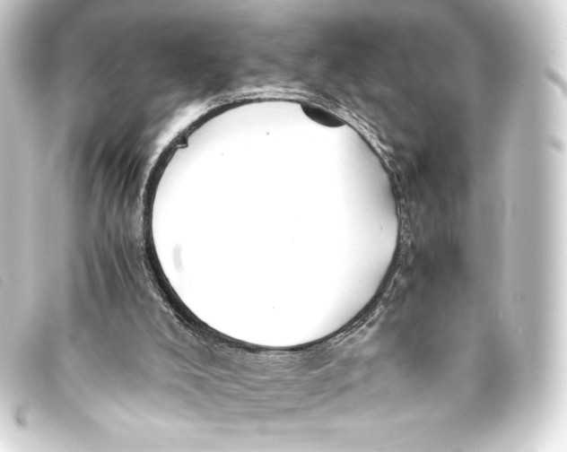 X0000093160008200710241029