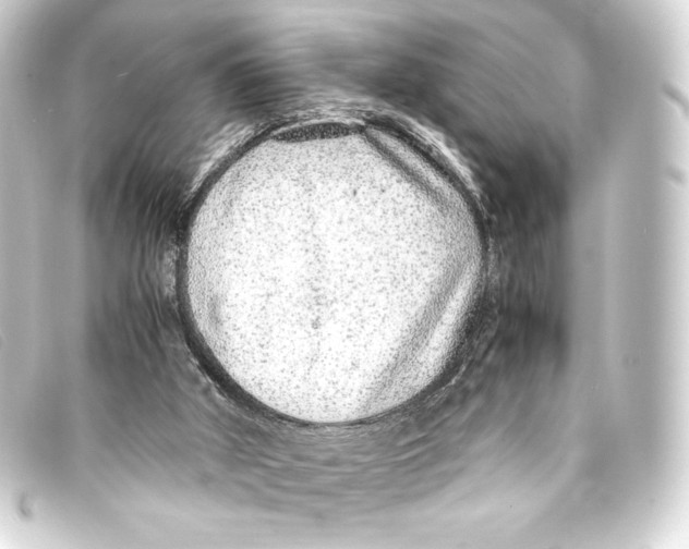 X0000093160010200710241029