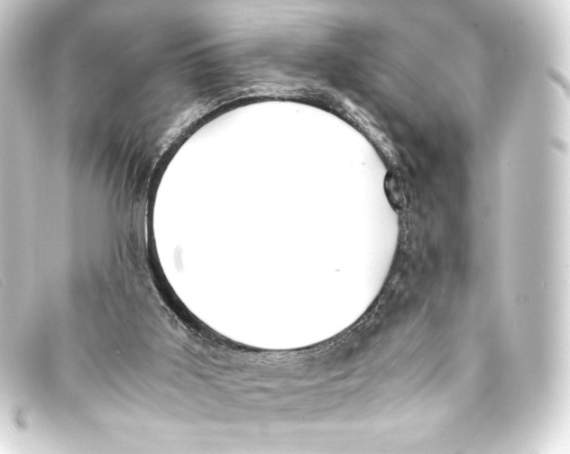 X0000093160011200710241029