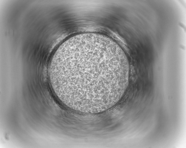 X0000093160012200710241029