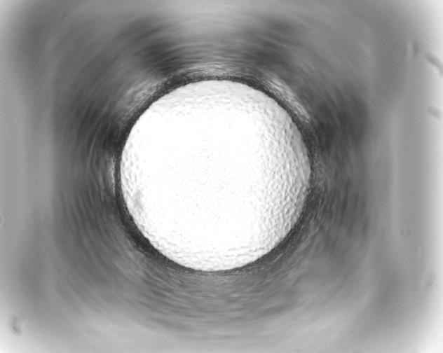X0000093160014200710241029
