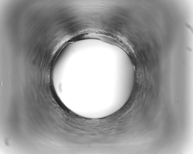 X0000093160015200710241029