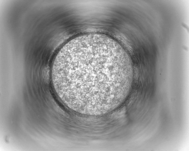 X0000093160016200710241029