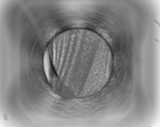 X0000093160017200710241029