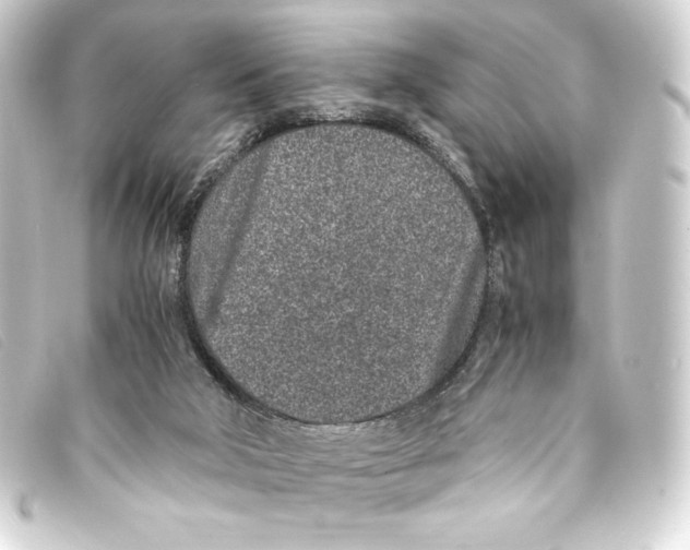 X0000093160018200710241029