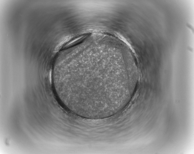 X0000093160019200710241029