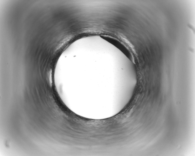 X0000093160020200710241029