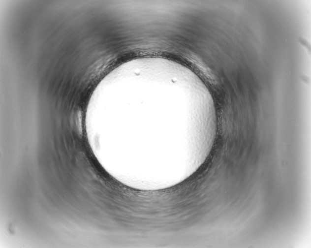 X0000093160022200710241028
