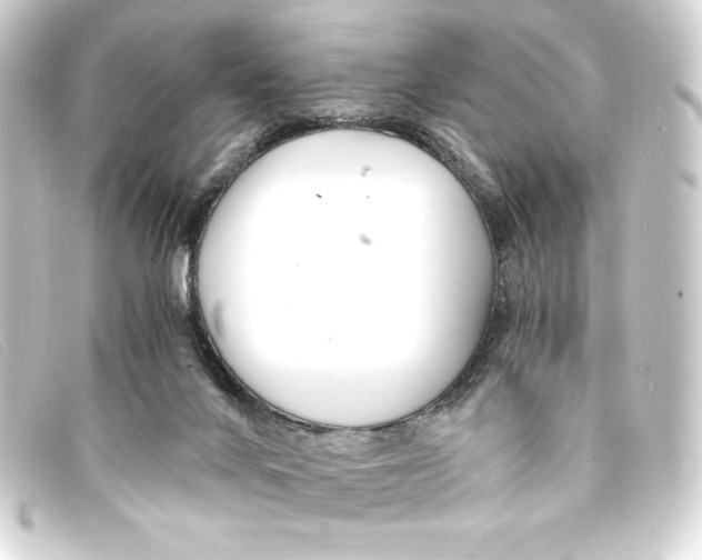 X0000093160024200710241028