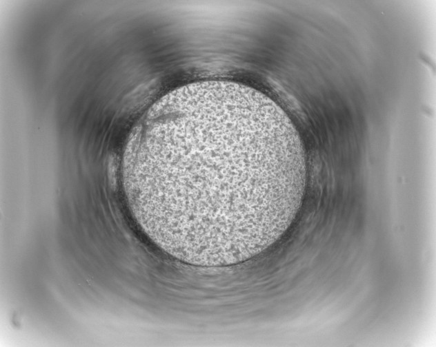X0000093160026200710241028