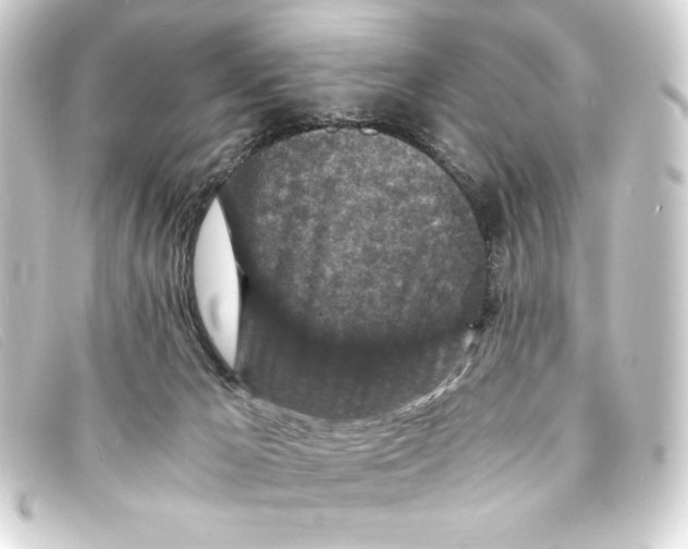 X0000093160029200710241028
